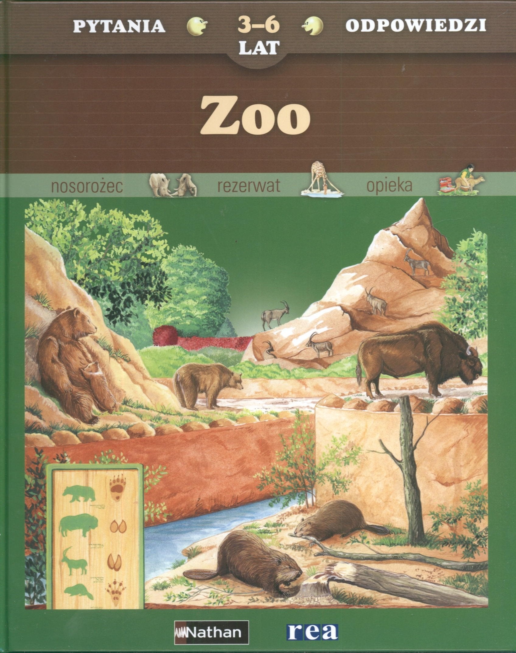 Pytania i odpowiedzi dla 3-6 latków ZOO Books