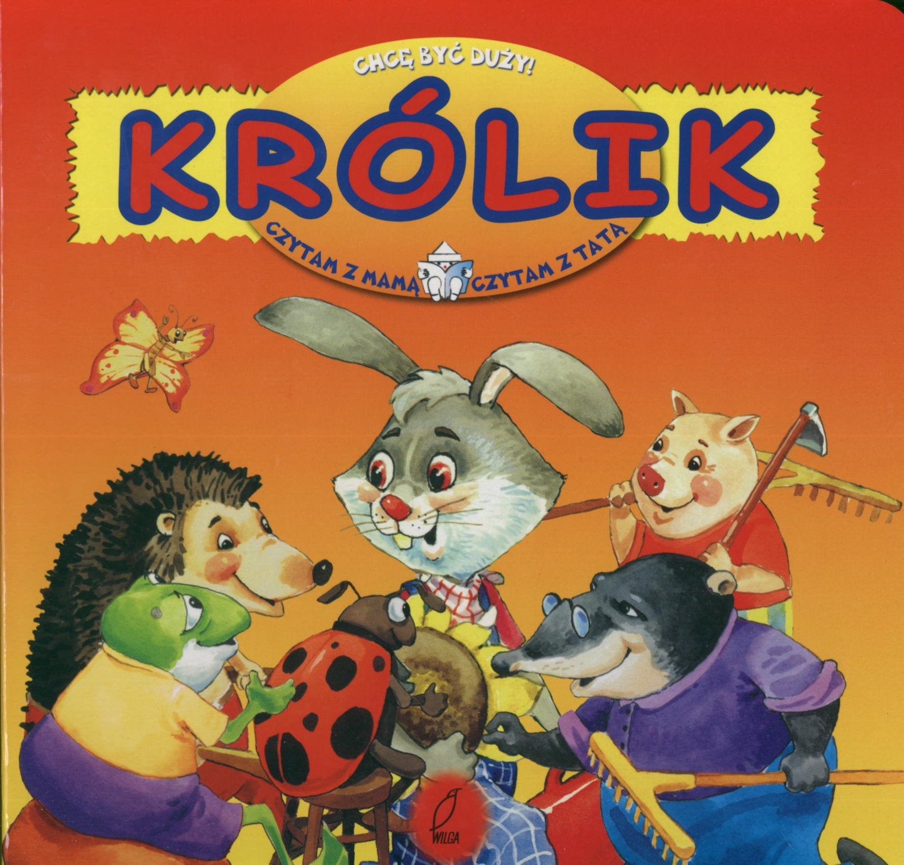 Królik Chcę być duży book
