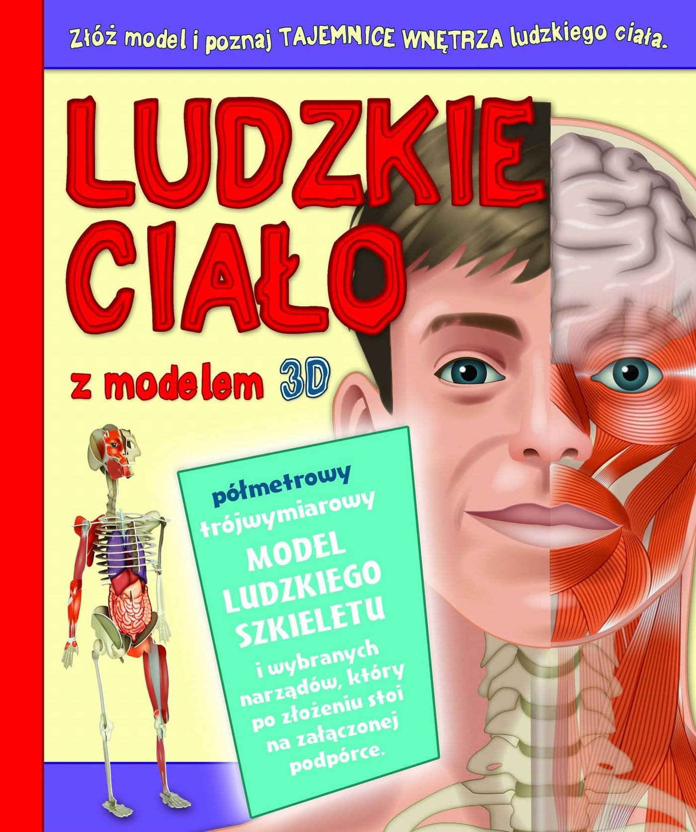 Ludzkie cialo z modelem 3D Medicine