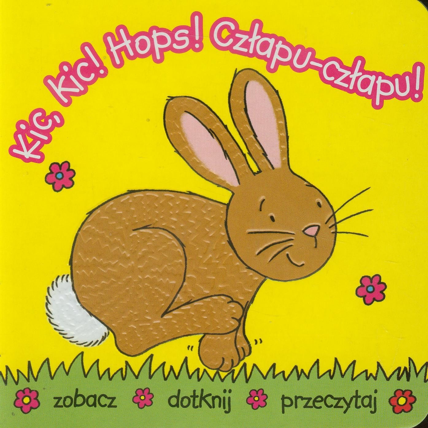 Kic Kic Hops Czlapu czlapu: zobacz dotknij przeczytaj book