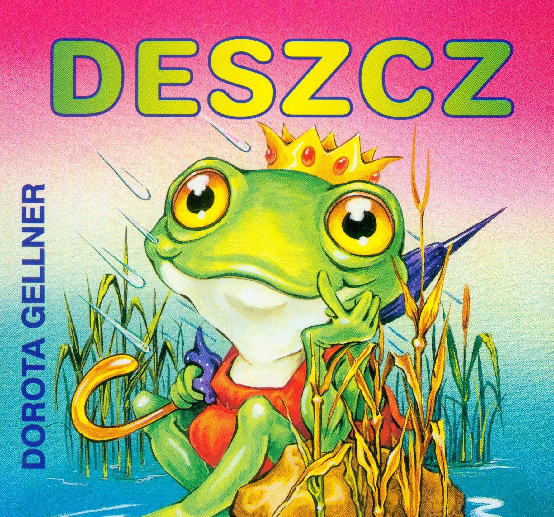 Deszcz (BIBLIOTECZKA NIEDŹWIADKA) Books