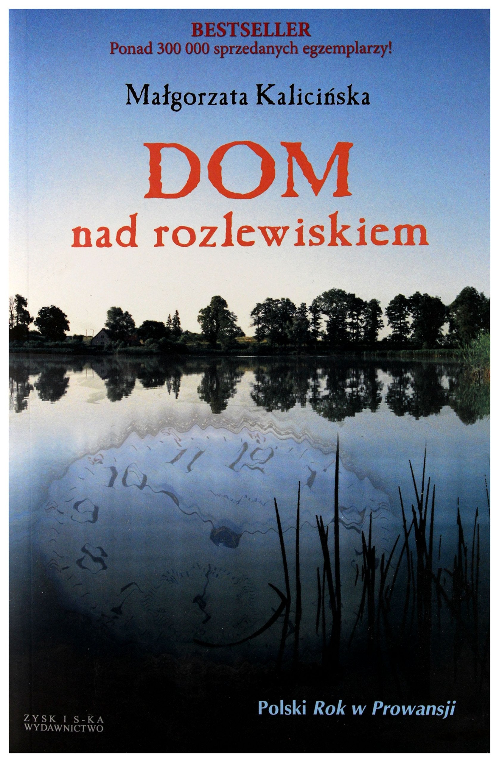 Dom nad rozlewiskiem Contemporary literature