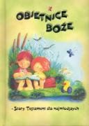 Obietnice Boże Stary Testament dla najmłodszych book