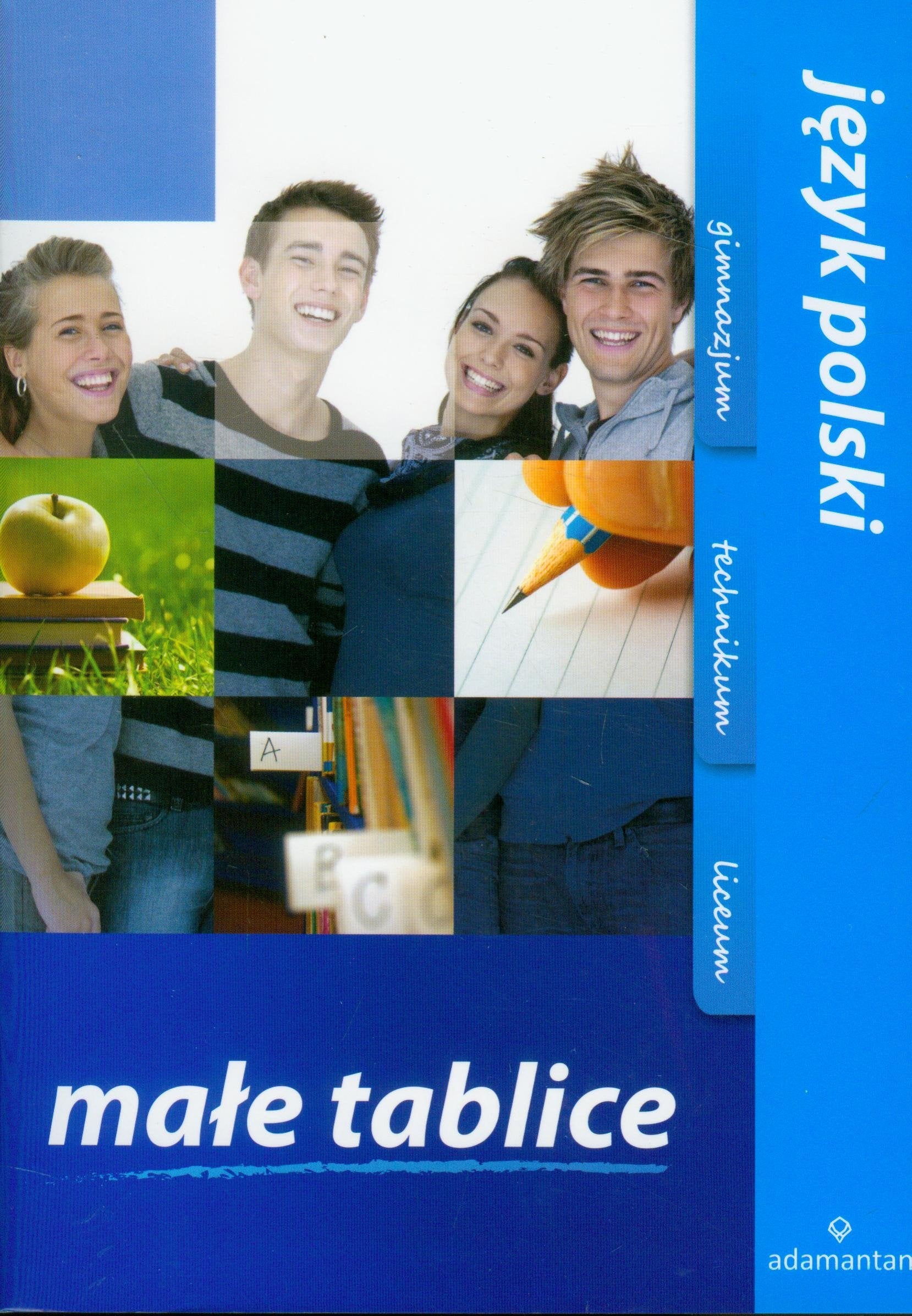 Małe tablice Język polski: Gimnazjum, technikum, liceum Books