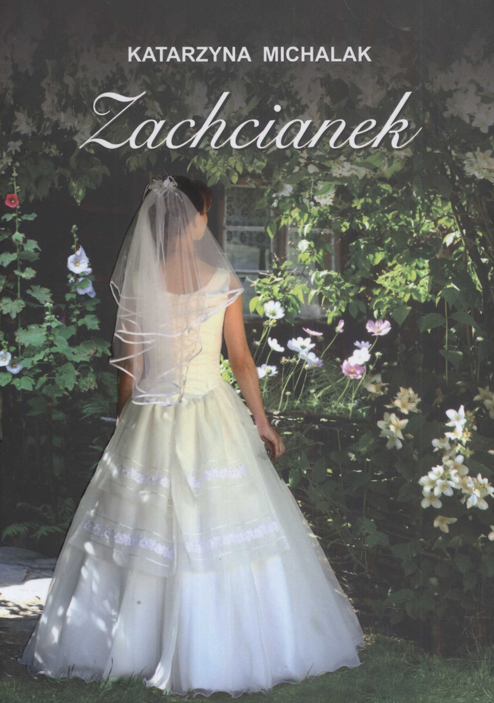 Zachcianek (SERIA POCZEKAJKOWA) Books