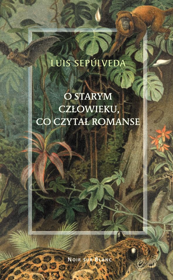 O starym czlowieku, co czytal romanse Contemporary literature