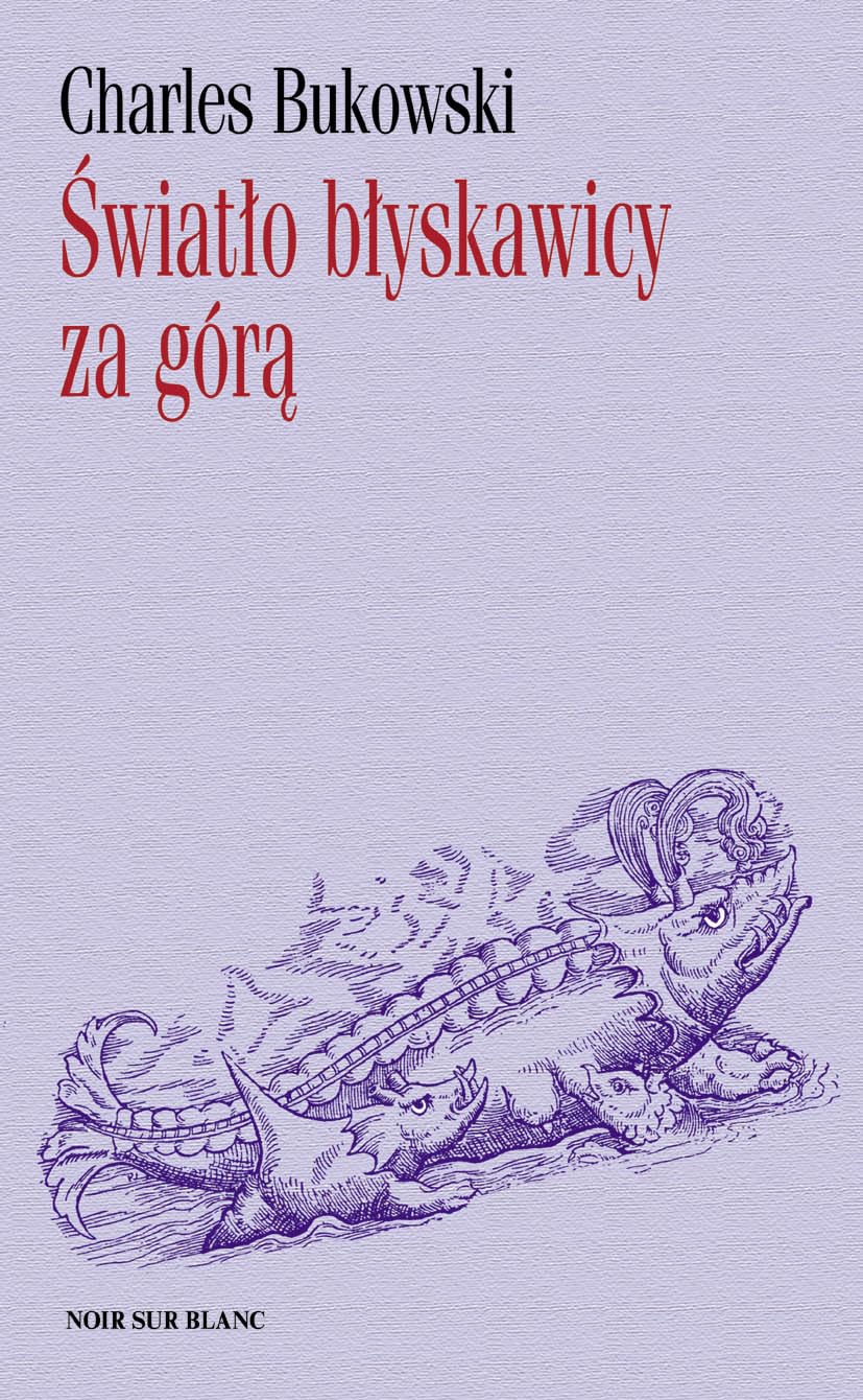 Światło błyskawicy za górą Books