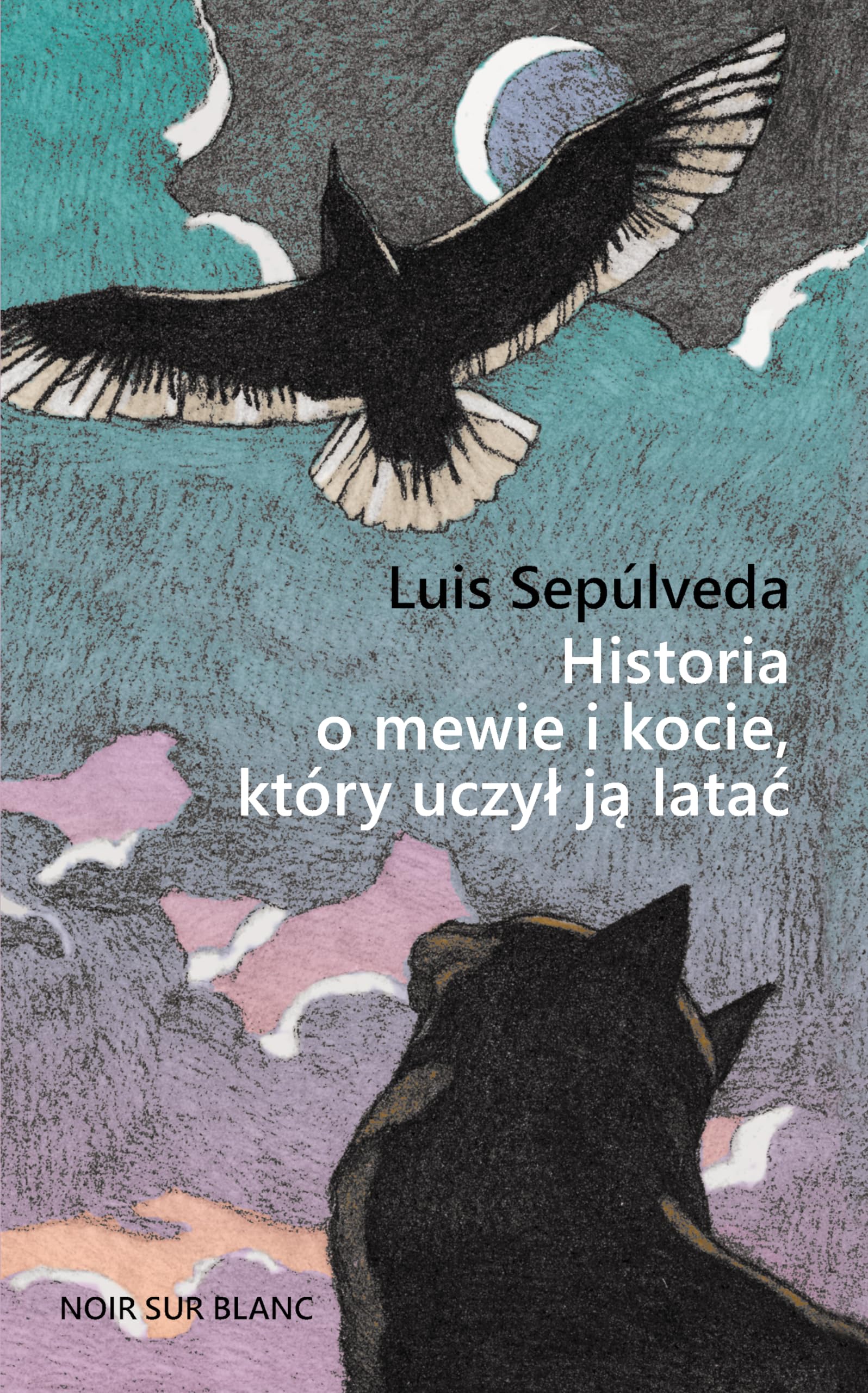 Historia o mewie i kocie, który uczył ją latać book