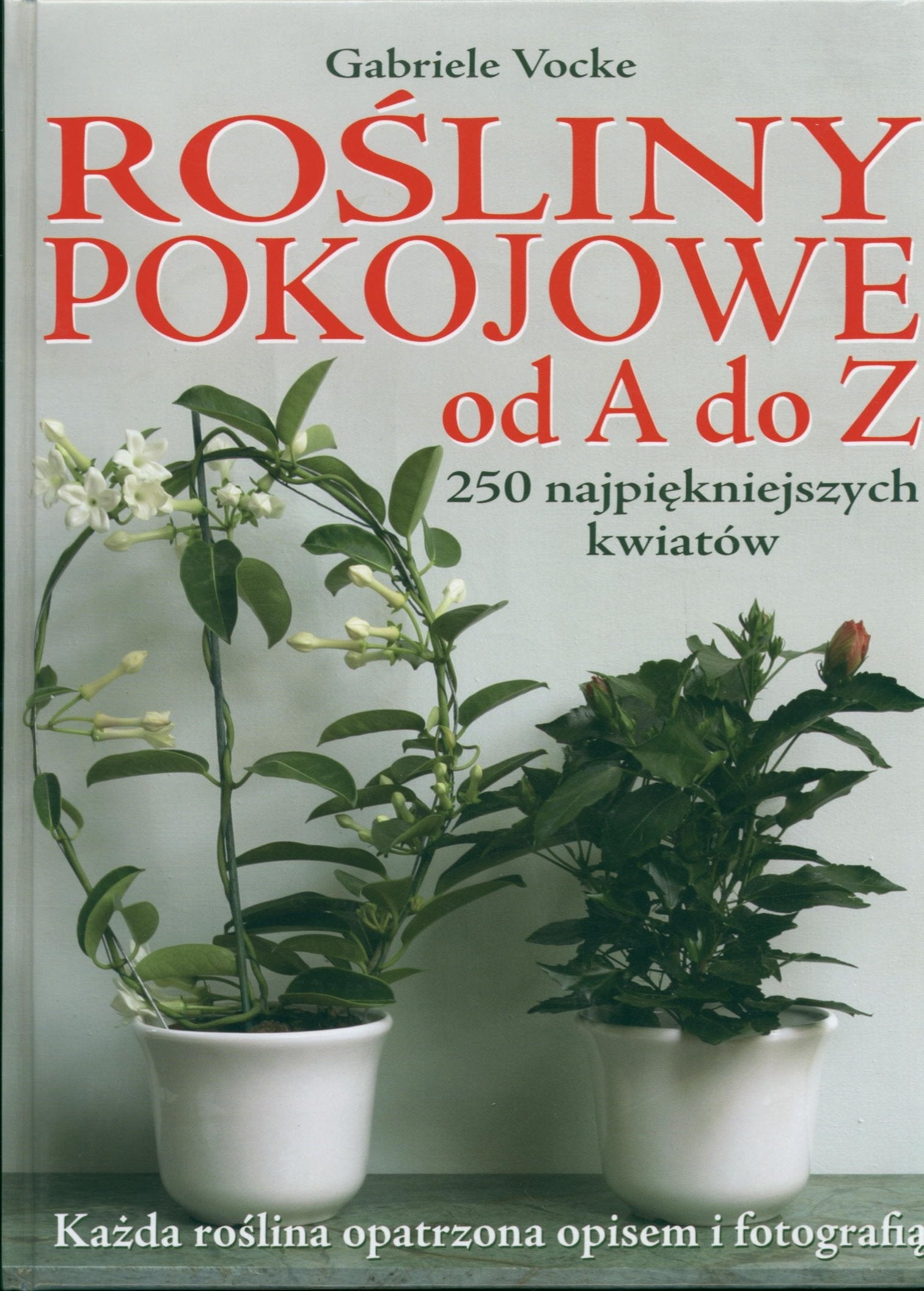 Rośliny pokojowe od A do Z Books