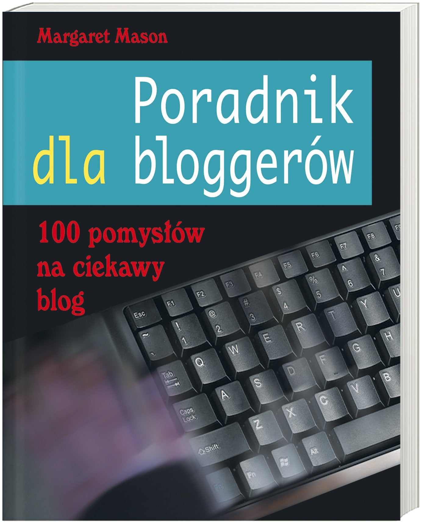 Poradnik dla bloggerów: 100 pomyslów na ciekawy blog book
