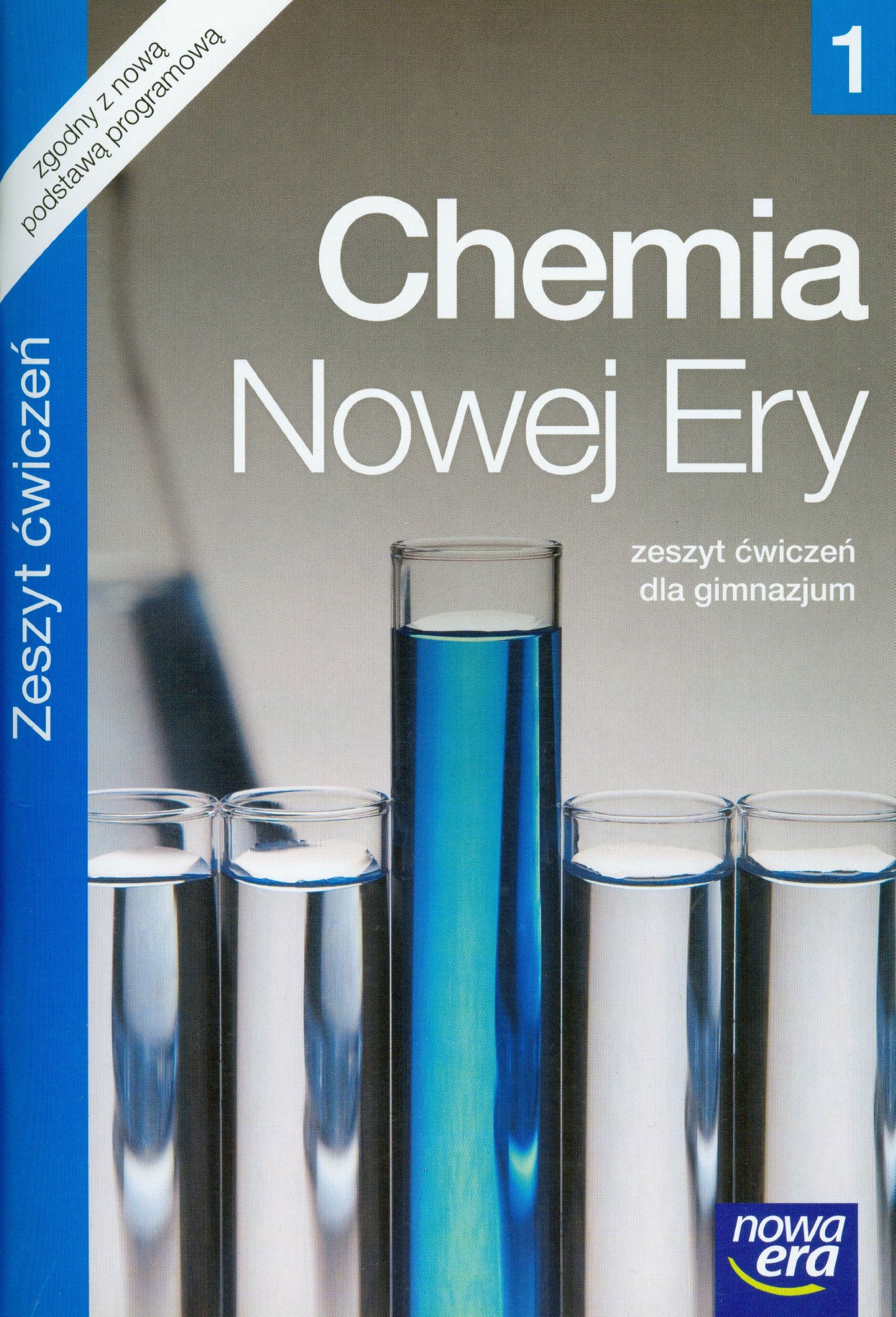 Chemia Nowej Ery 1 Zeszyt ćwiczeń: Gimnazjum Books