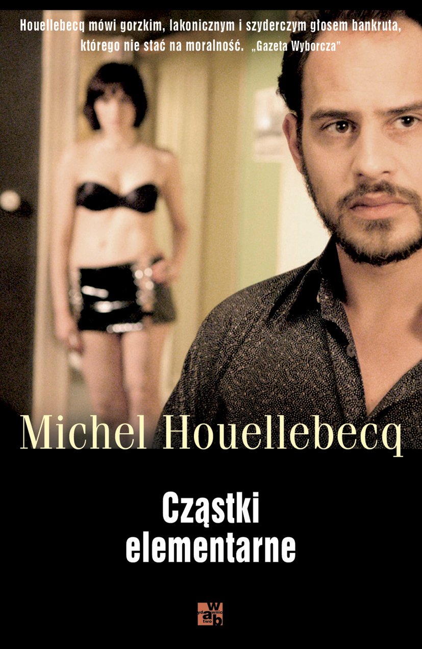 Cząstki elementarne (WAB W KIESZENI) Books