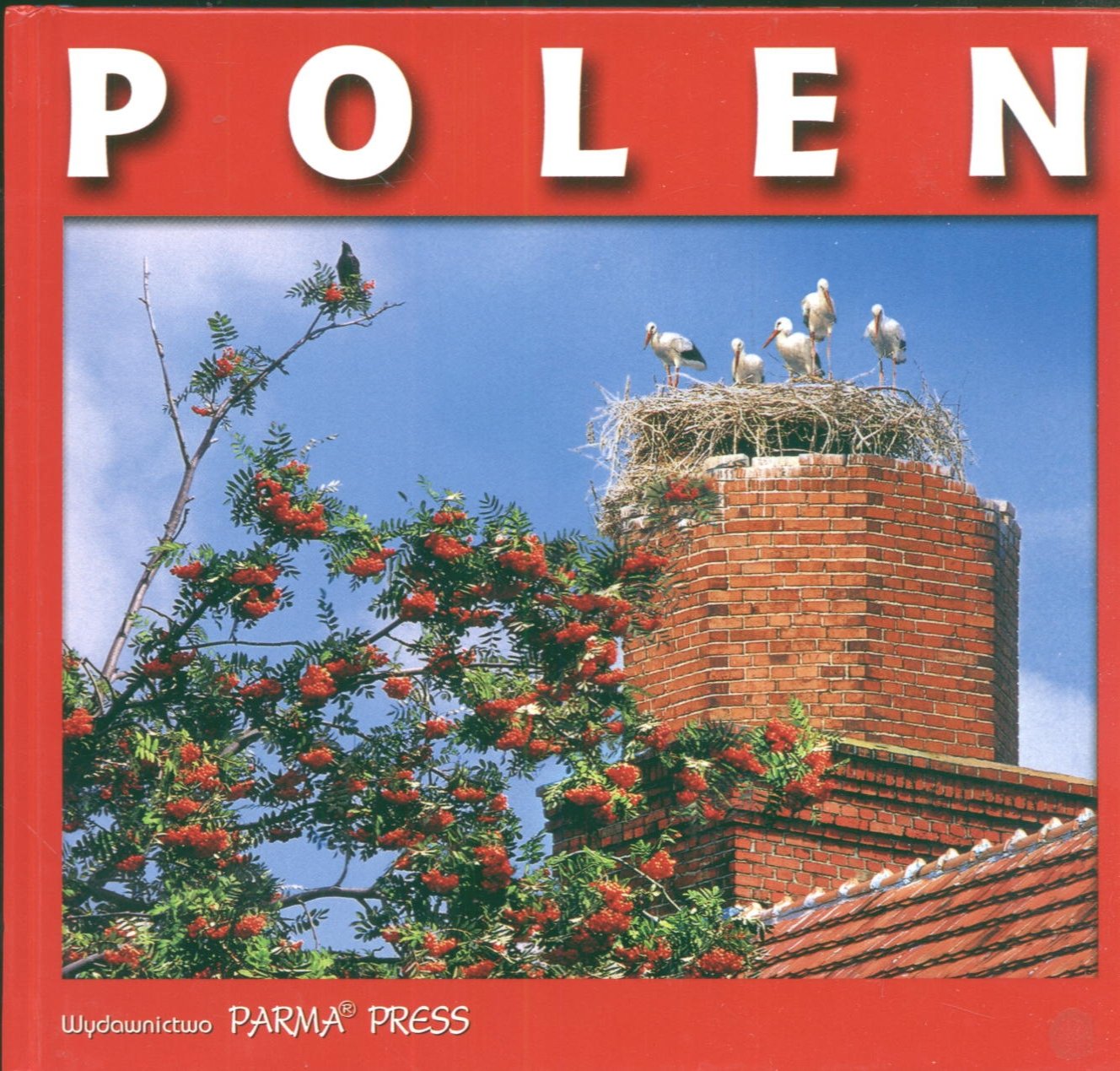 Polen Polska wersja szwedzka book