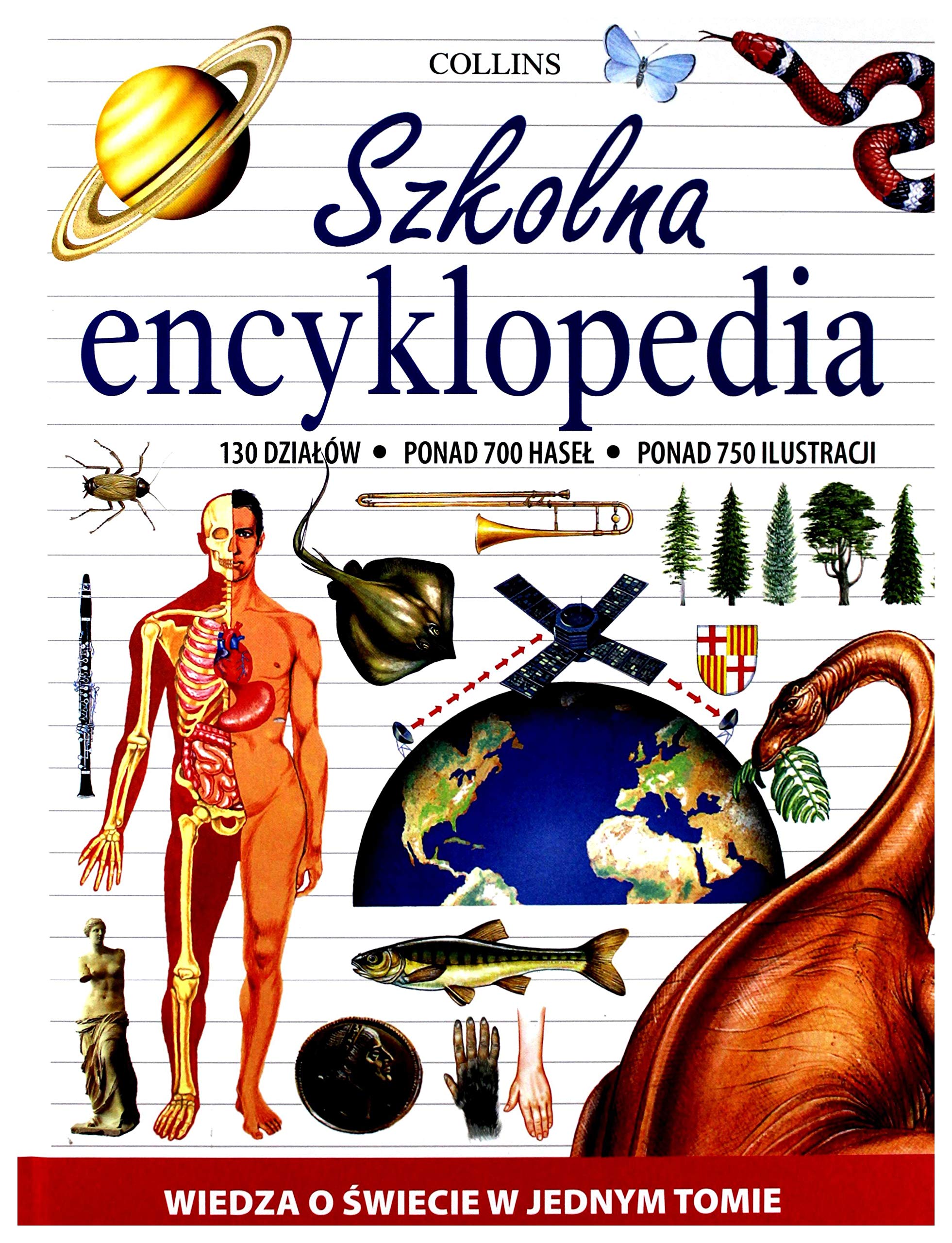 Szkolna encyklopedia: Wiedza o swiecie w jednym tomie book