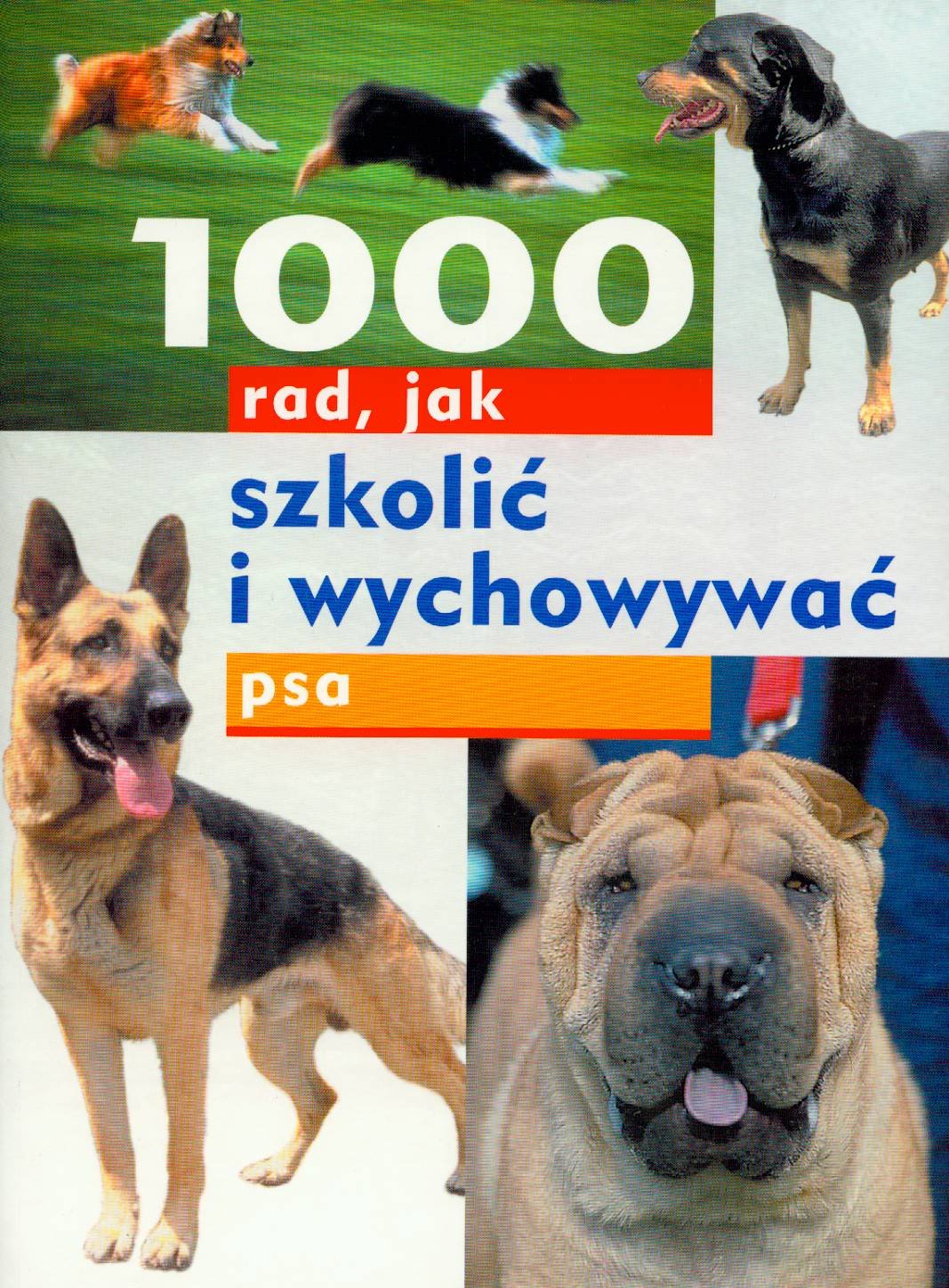 1000 rad, jak szkolić i wychowywać psa Books