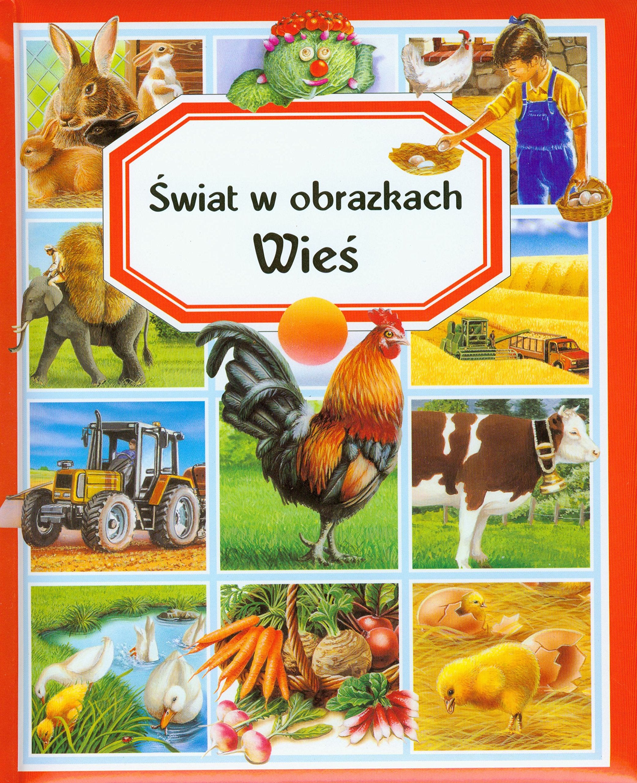 Świat w obrazkach Wieś Books