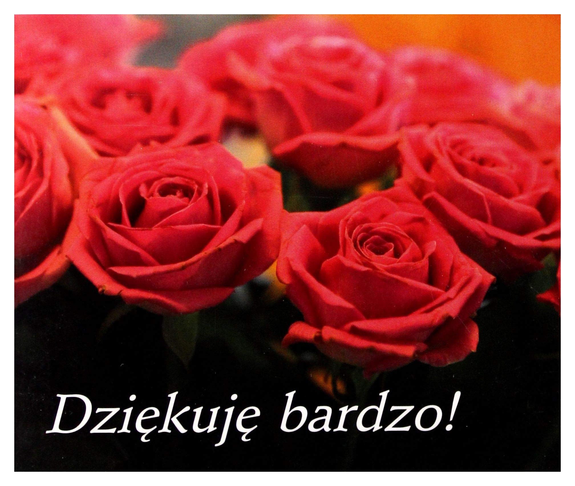 DziekujÄ Bardzo PereĹki book