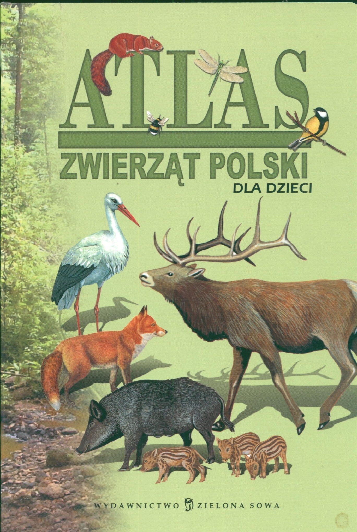 Atlas zwierząt Polski dla dzieci Books