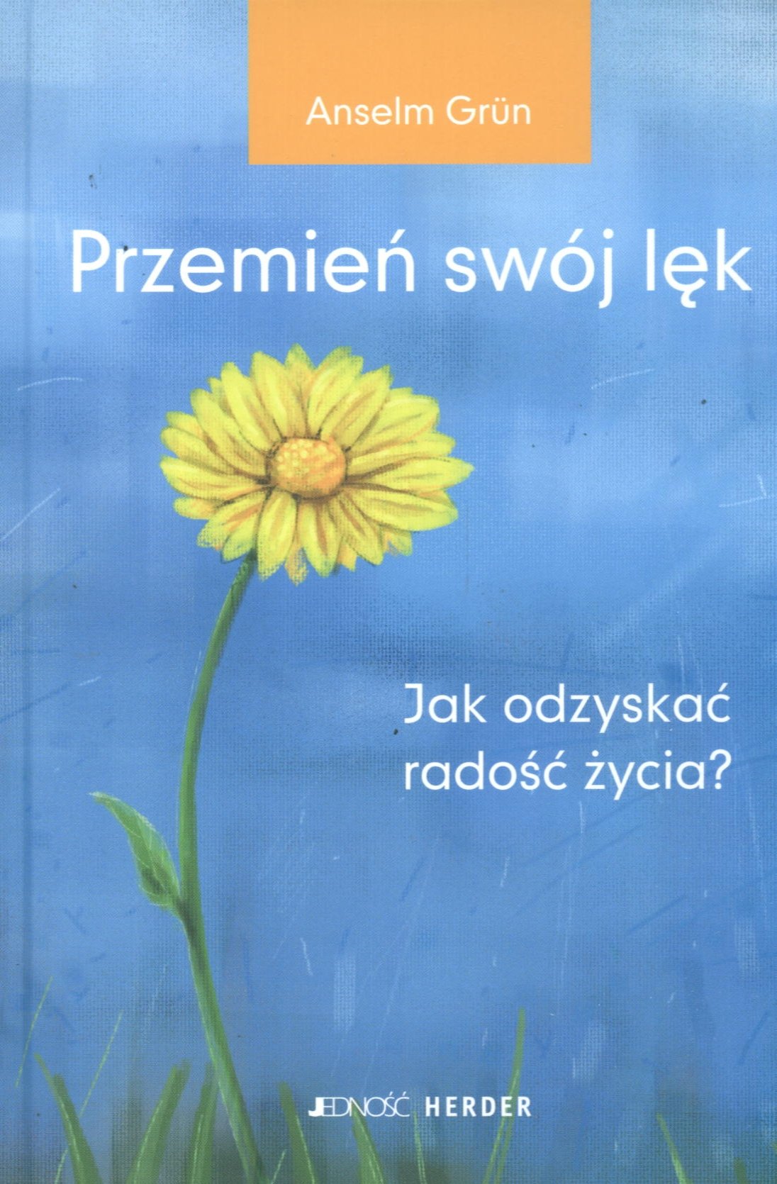 Przemien swój lek: Jak odzyskac radosc zycia? Books
