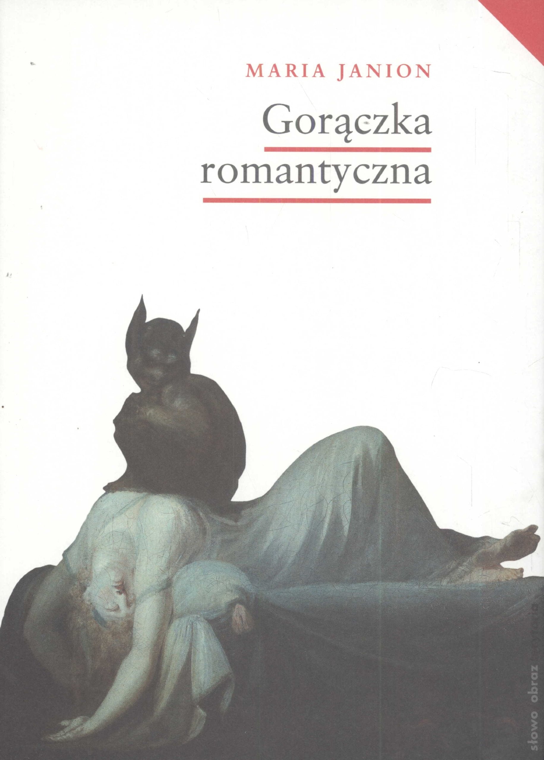 Gorączka romantyczna (KLASYKA ŚWIATOWEJ HUMANISTYKI) Books