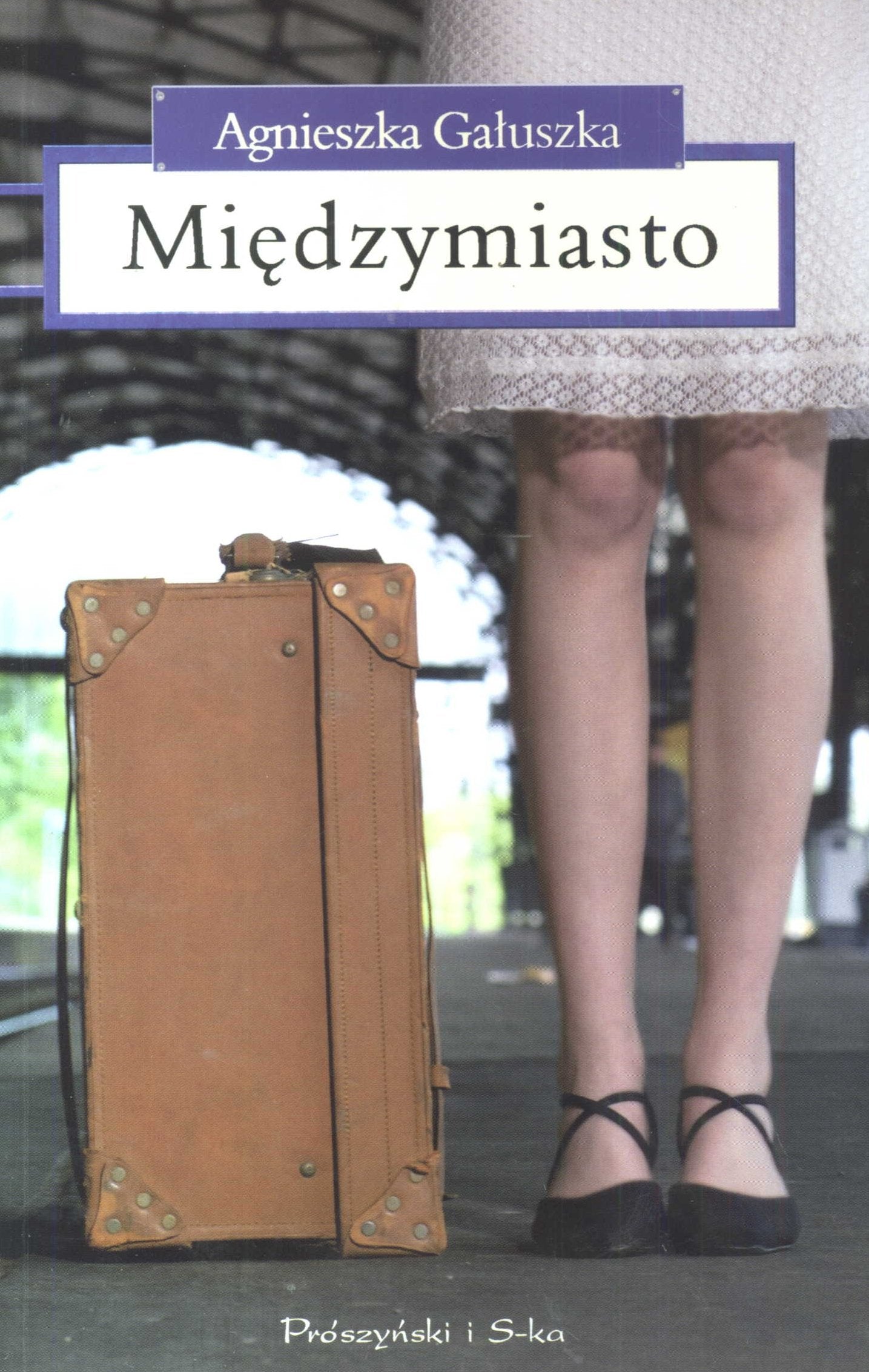Międzymiasto: Pamiętnik ekspresowo - pospieszny, ale jednak osobowy Books