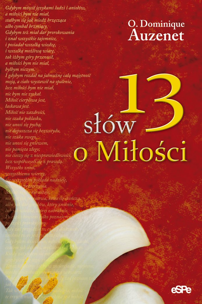13 slów o milosci book
