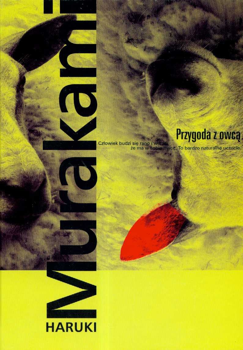 Product Image: Przygoda z owcą