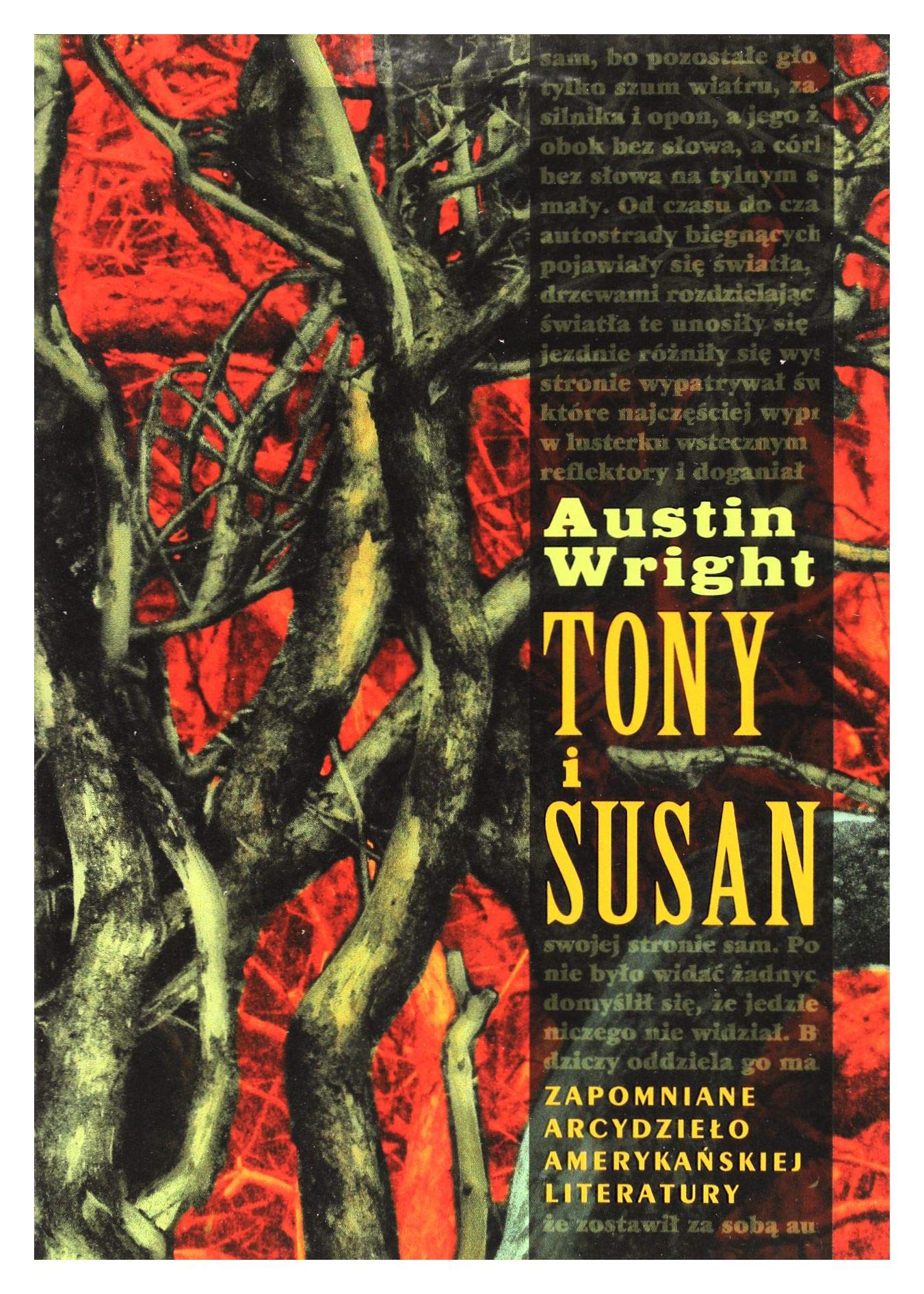 Tony i Susan: Zapomniane dzieło amerykańskiej literatury book