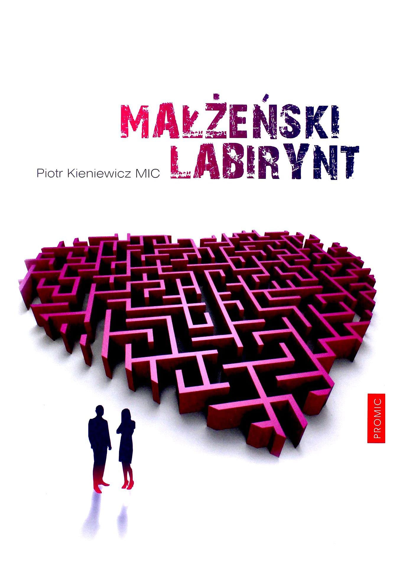 MaĹĹzeĹski labirynt - Piotr Kieniewicz Mic Books