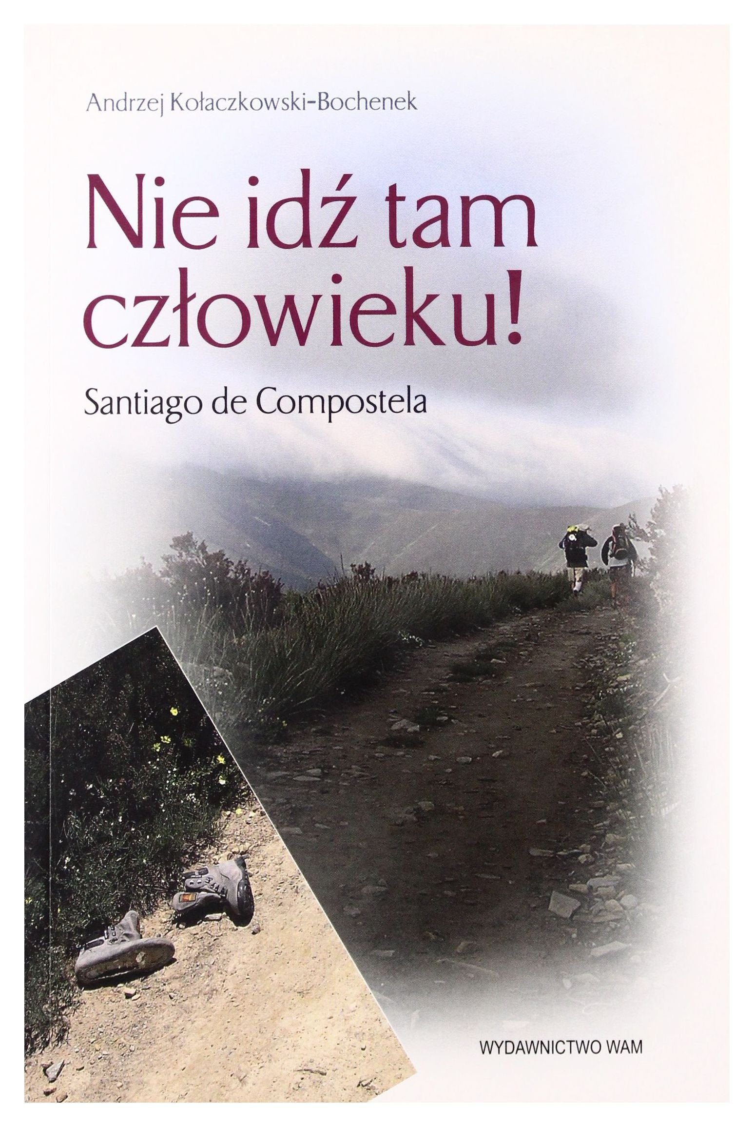 Nie idź tam człowieku!: Santiago de Compostela Books