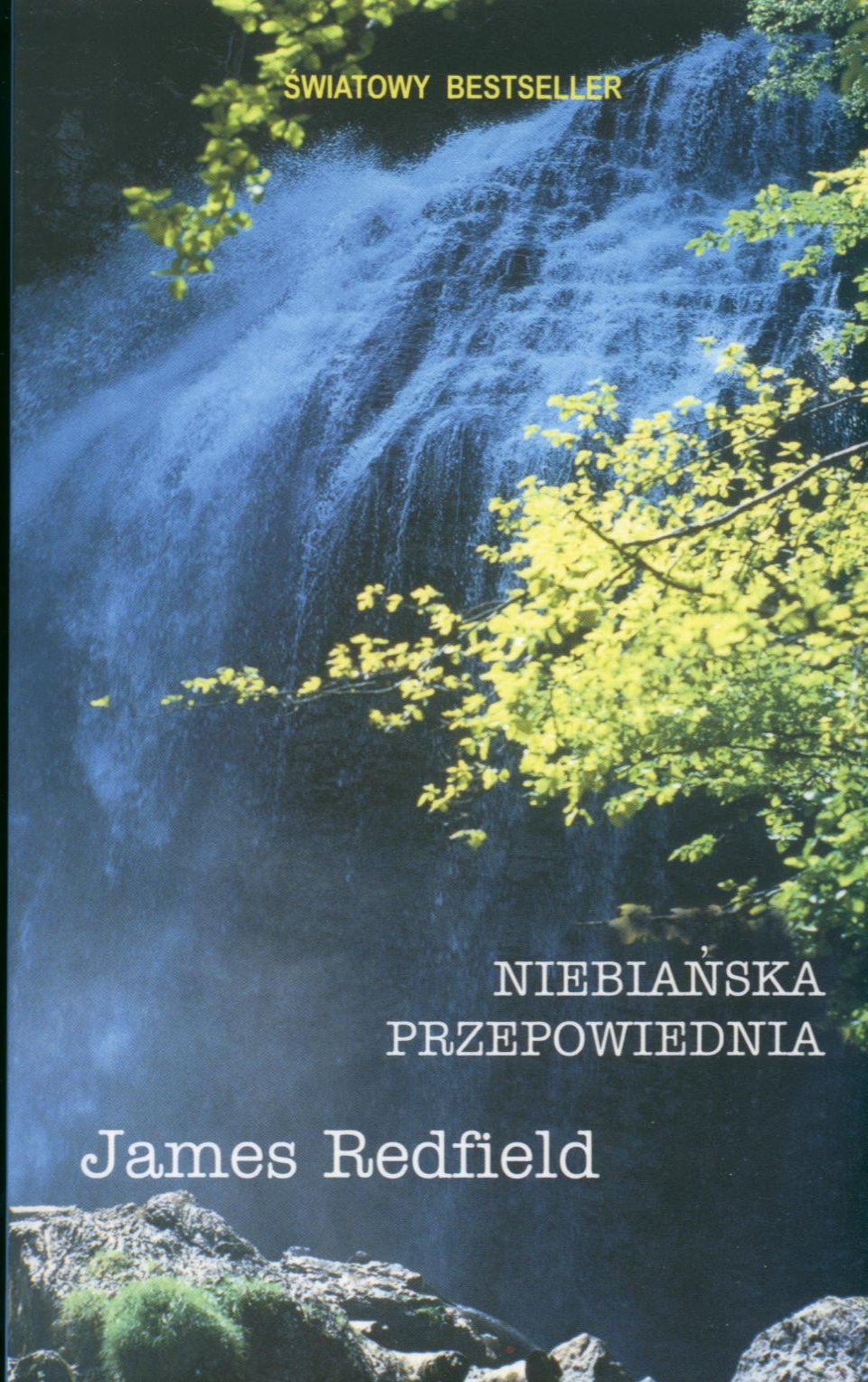 Niebiańska przepowiednia Books