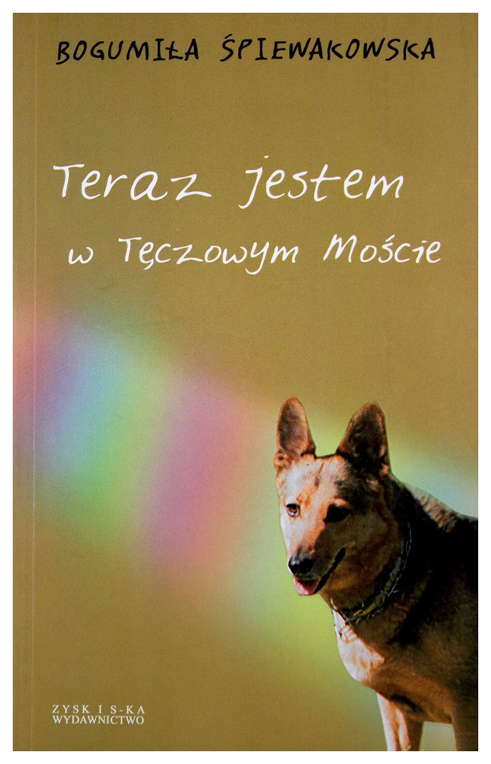 Teraz jestem w Tęczowym Moście book