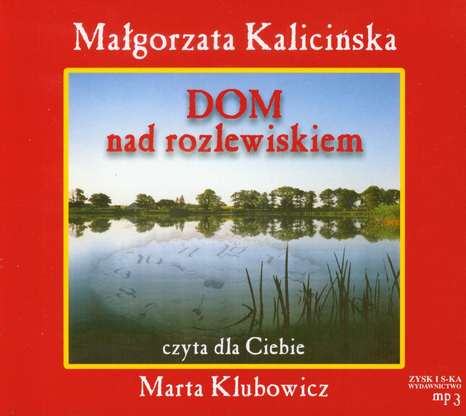 Dom nad rozlewiskiem Contemporary literature