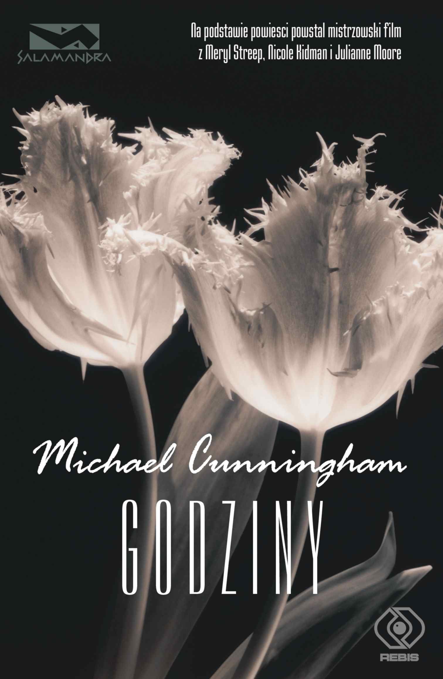 Godziny Contemporary literature Books