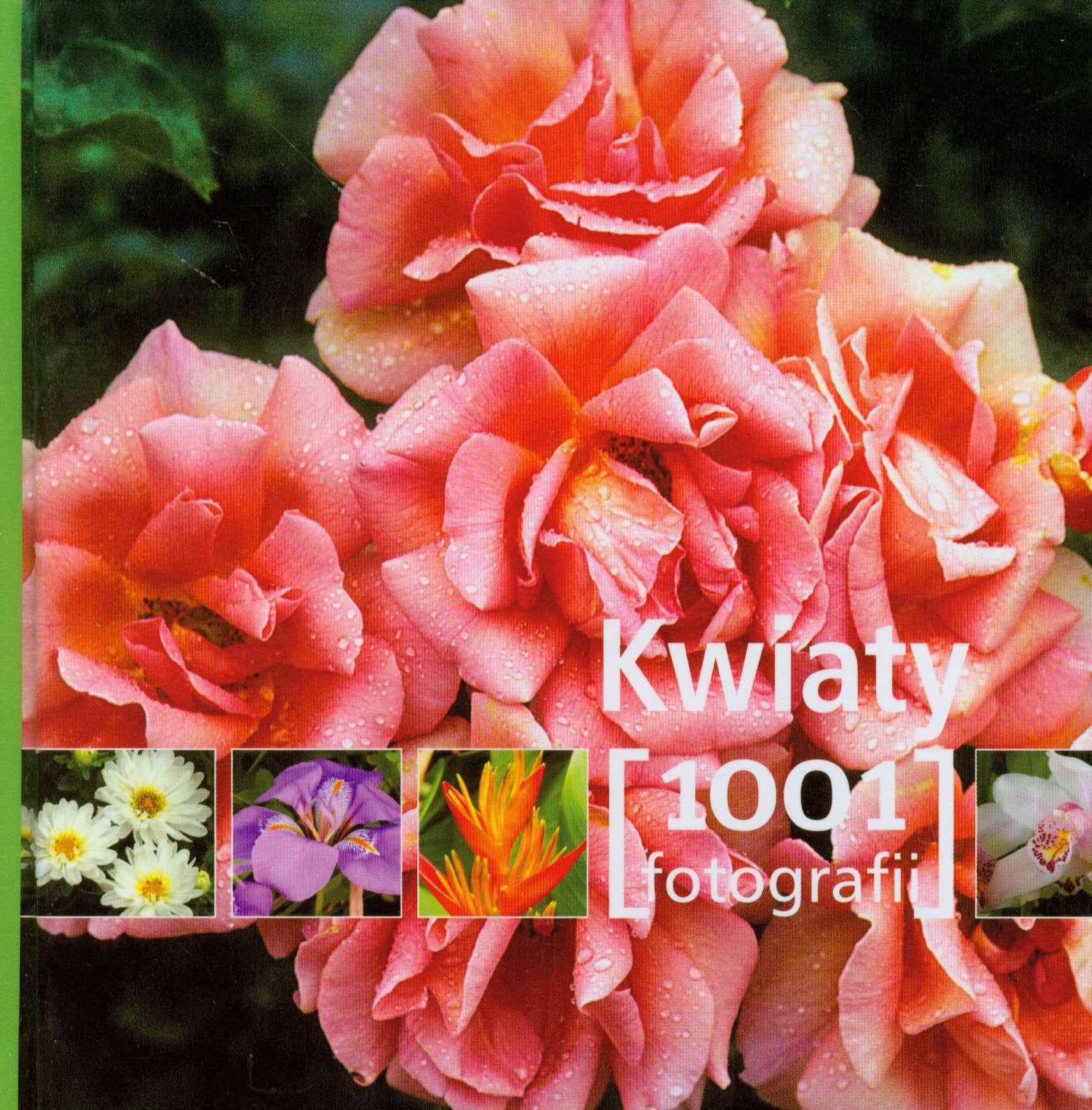 Kwiaty 1001 fotografii Books