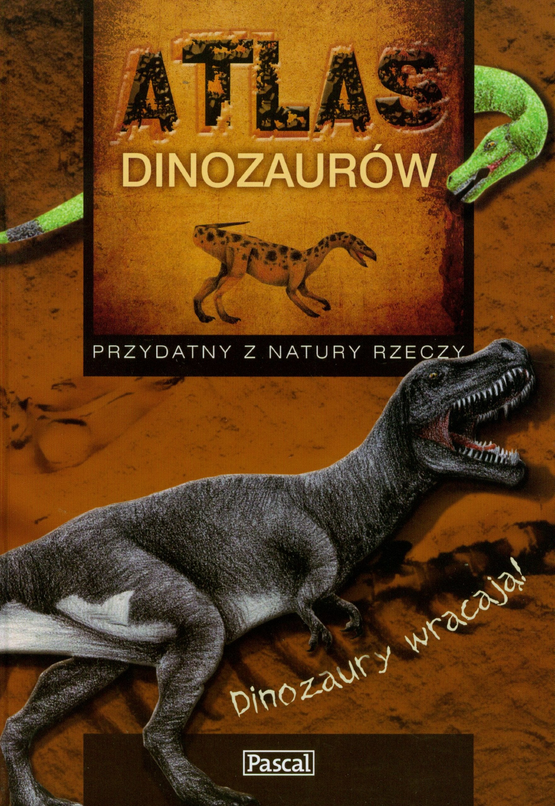 Atlas dinozaurów Books