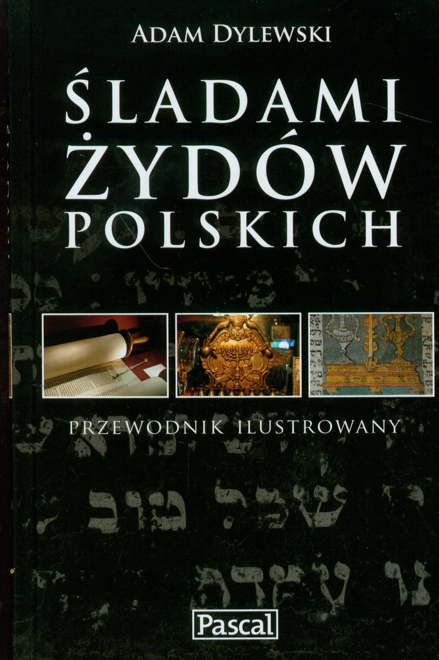 Śladami Żydów Polskich przewodnik ilustrowany Books