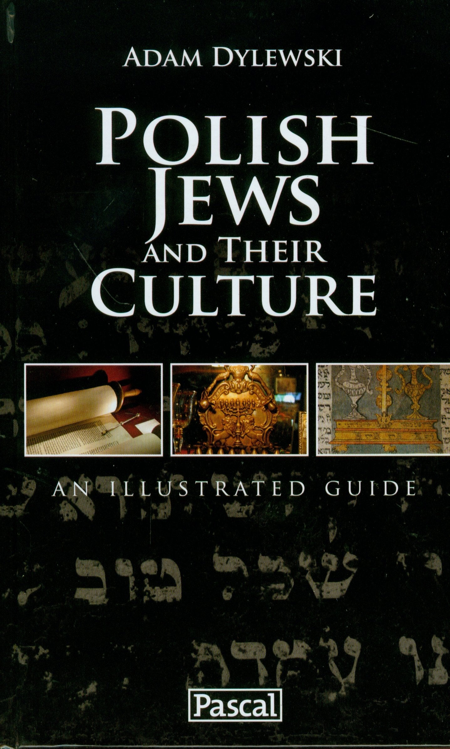 Polish Jews and their culture Books