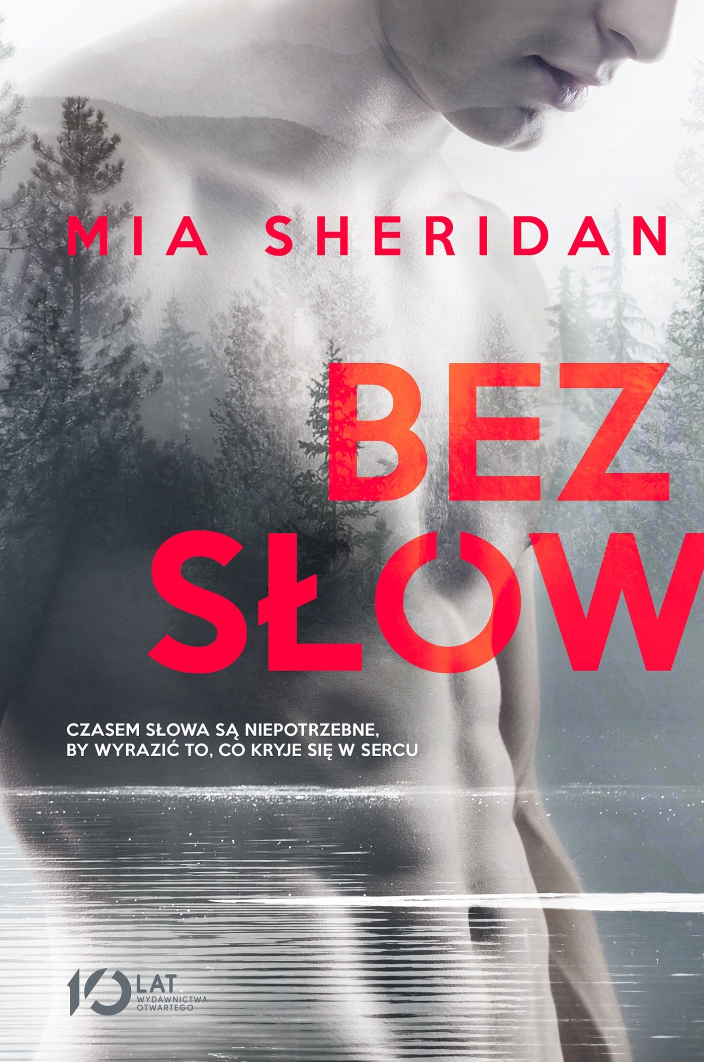 Bez slow Contemporary literature Books