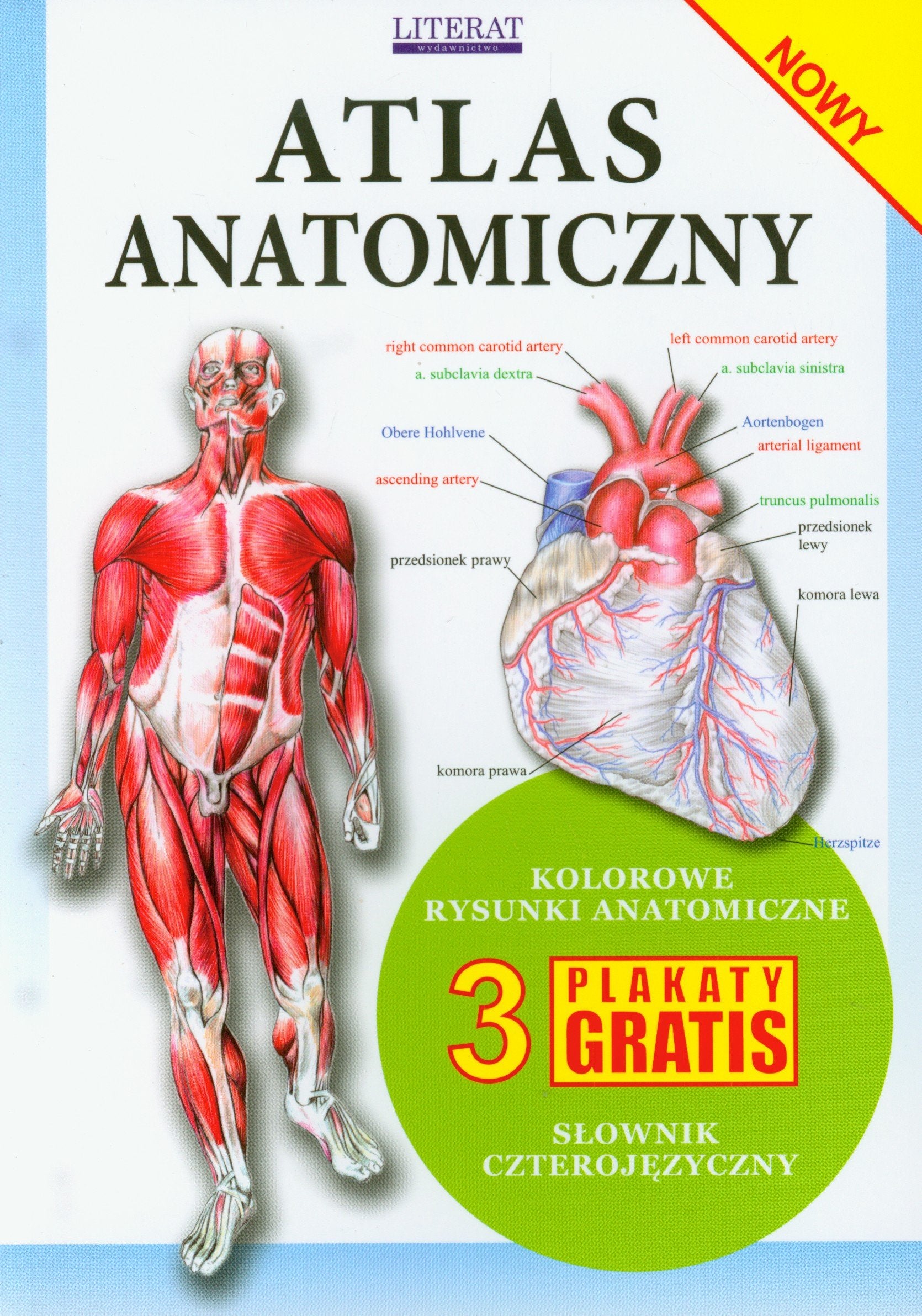 Atlas anatomiczny Medicine