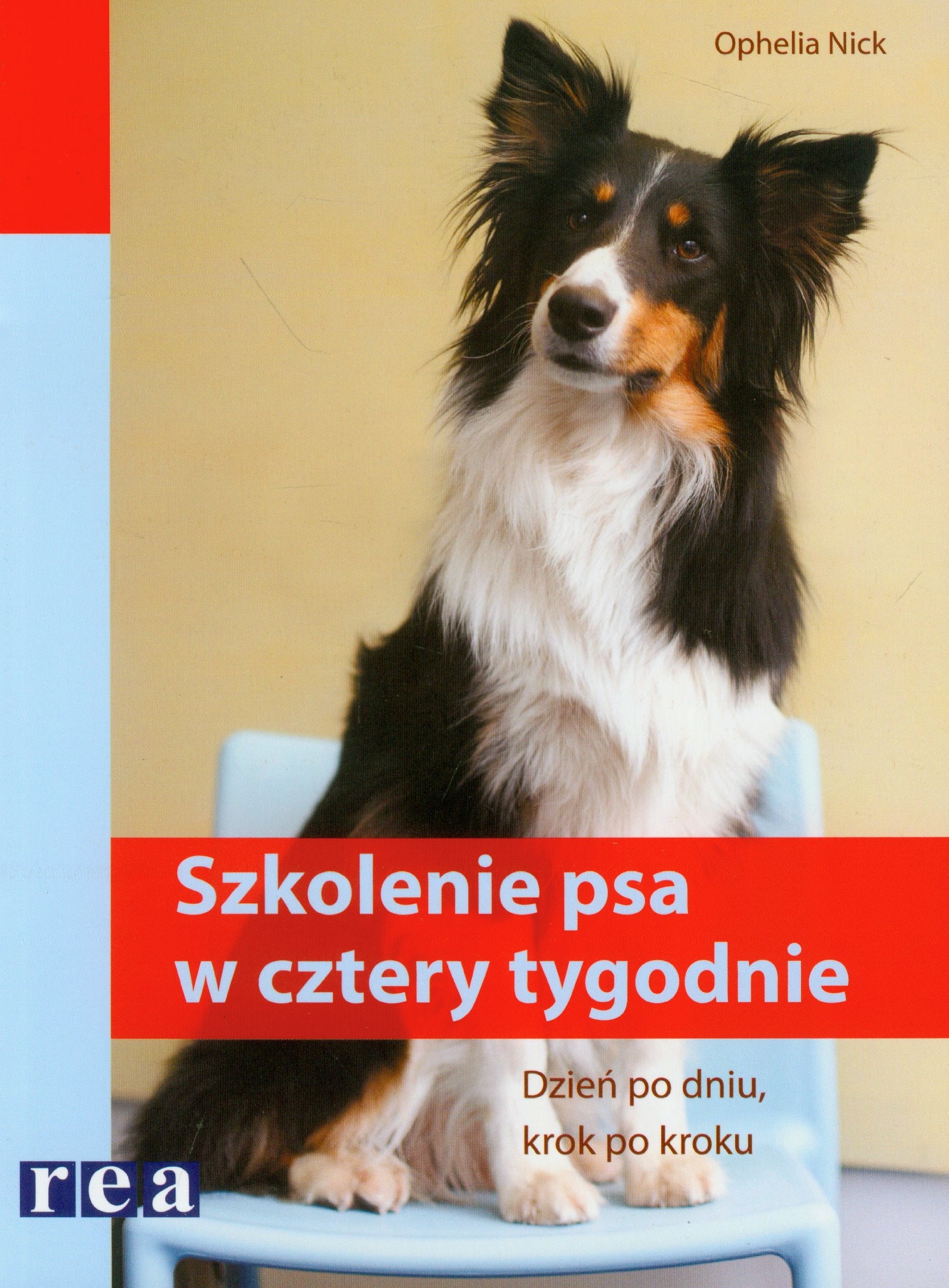 Szkolenie psa w cztery tygodnie Pets