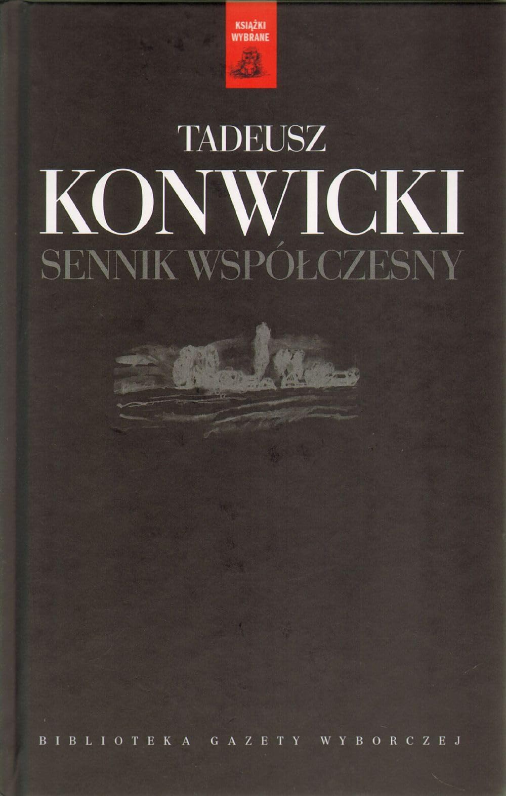 Sennik współczesny (KSIĄŻKI WYBRANE) Books