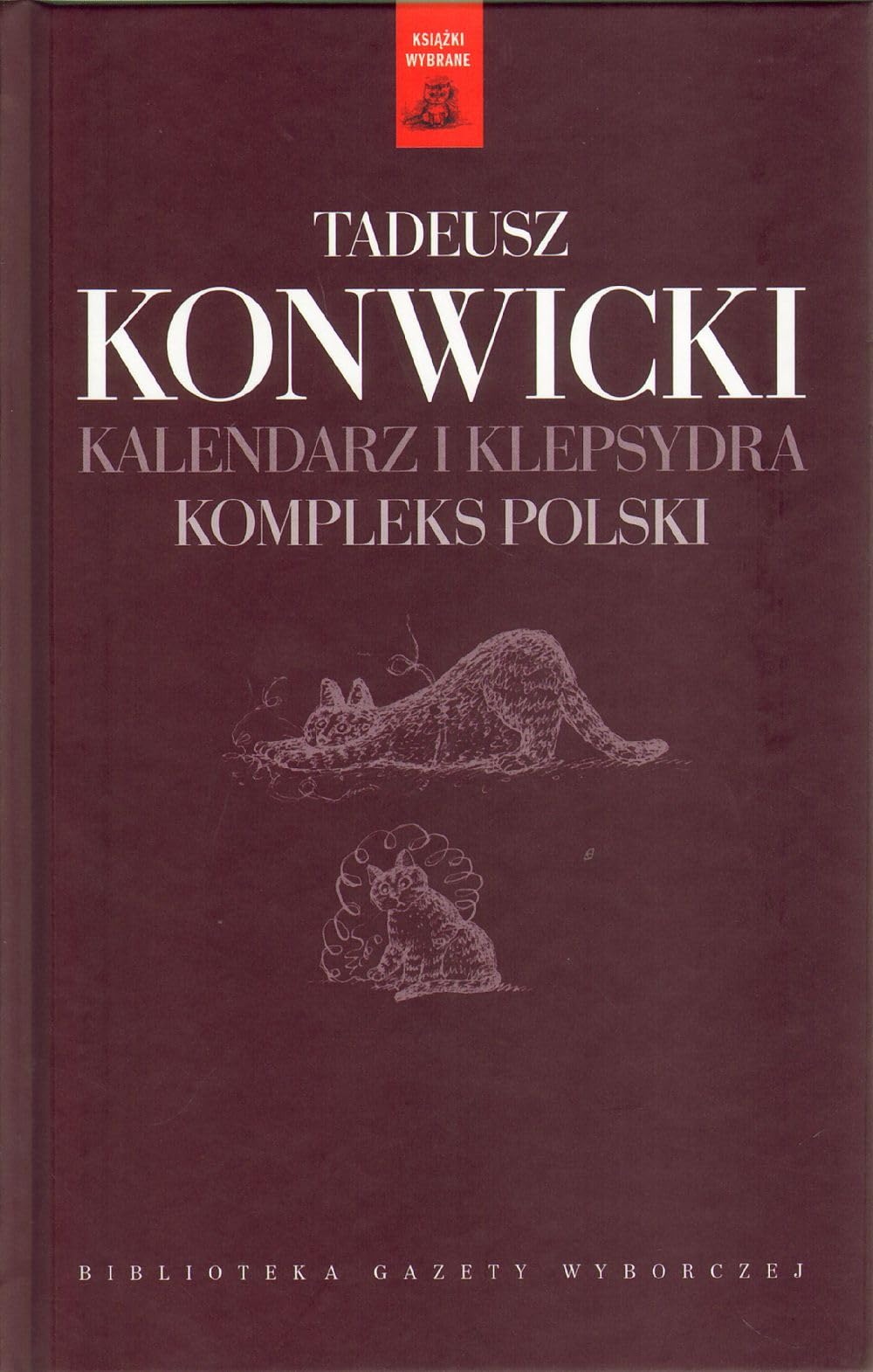 Kalendarz i klepsydra Kompleks polski (BIBLIOTEKA GAZETY WYBORCZEJ) Books