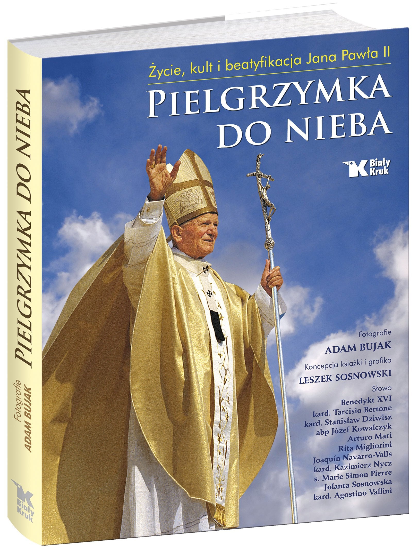 Pielgrzymka do Nieba: Życie, kult i beatyfikacja Jana Pawła II Social Sciences