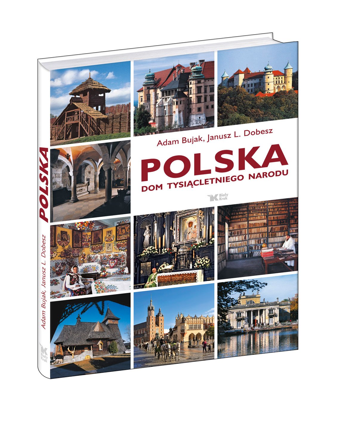 Polska Dom tysiacletniego narodu Social Sciences