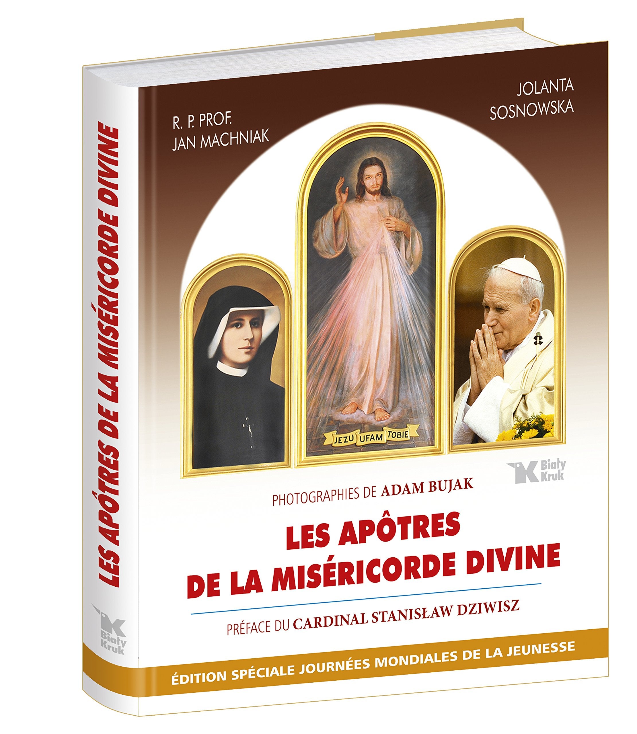 Les Apôtres de la Miséricorde Divine: Apostołowie Bożego Miłosierdzia wersja francuska book