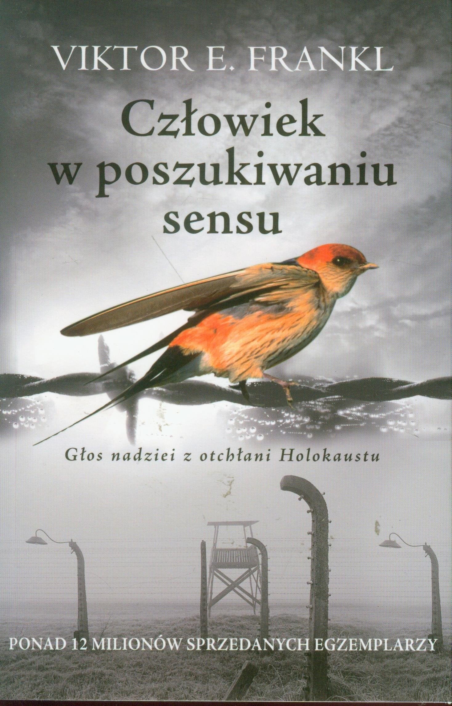 Czlowiek w poszukiwaniu sensu Law