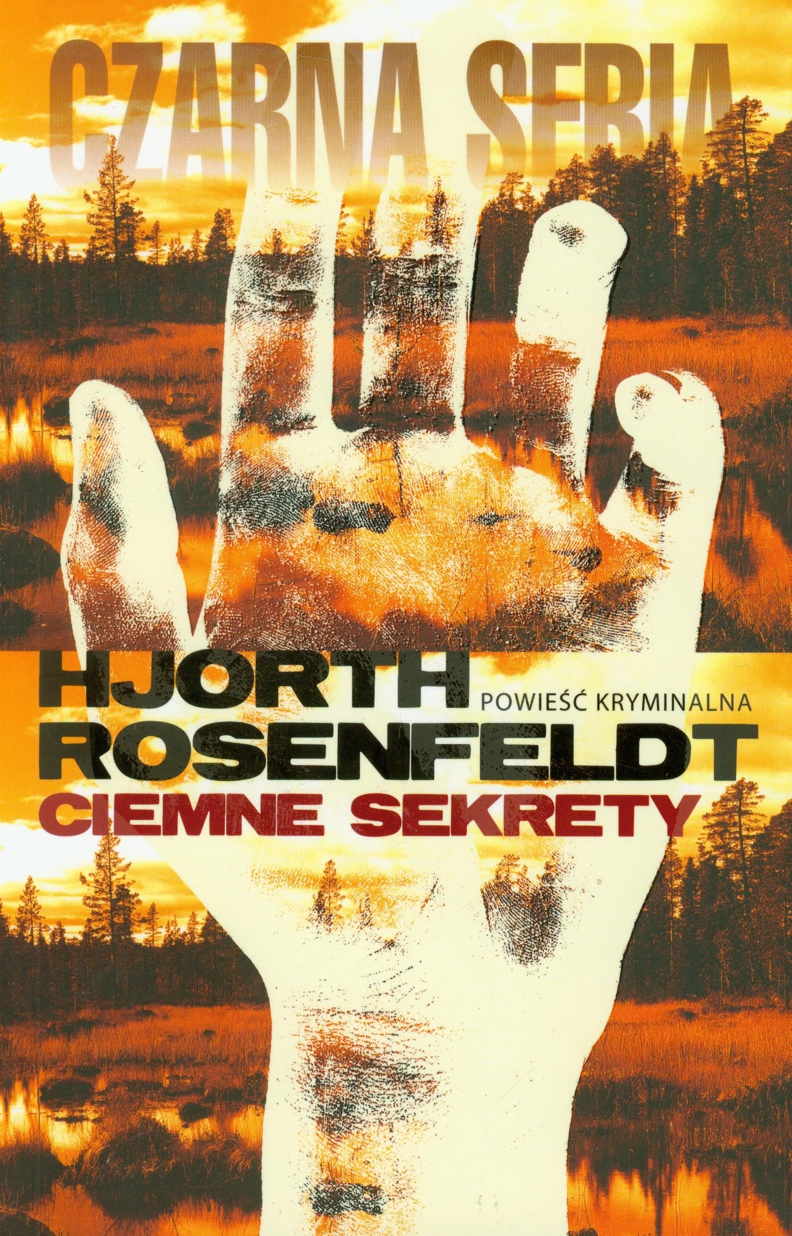 Ciemne sekrety (CZARNA SERIA) Contemporary literature