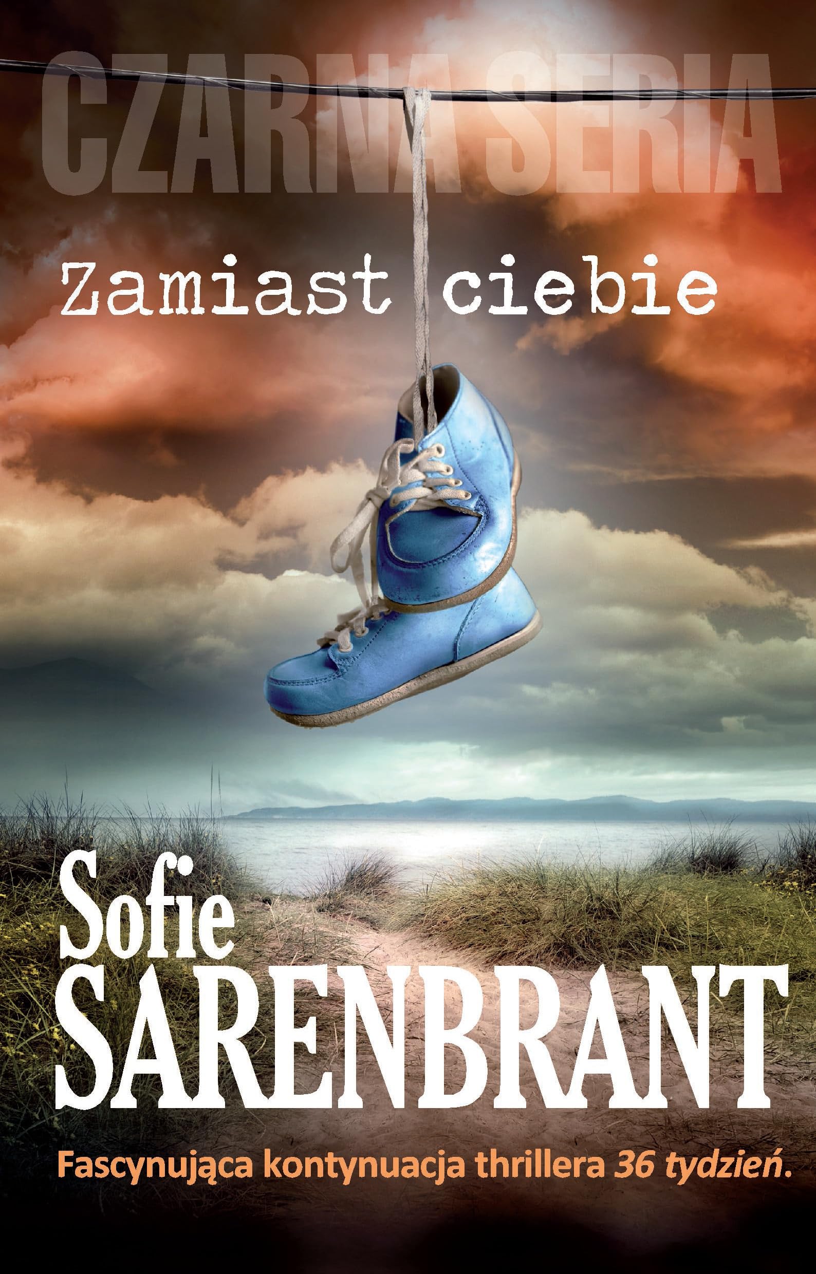 Zamiast ciebie (CZARNA SERIA) Contemporary literature