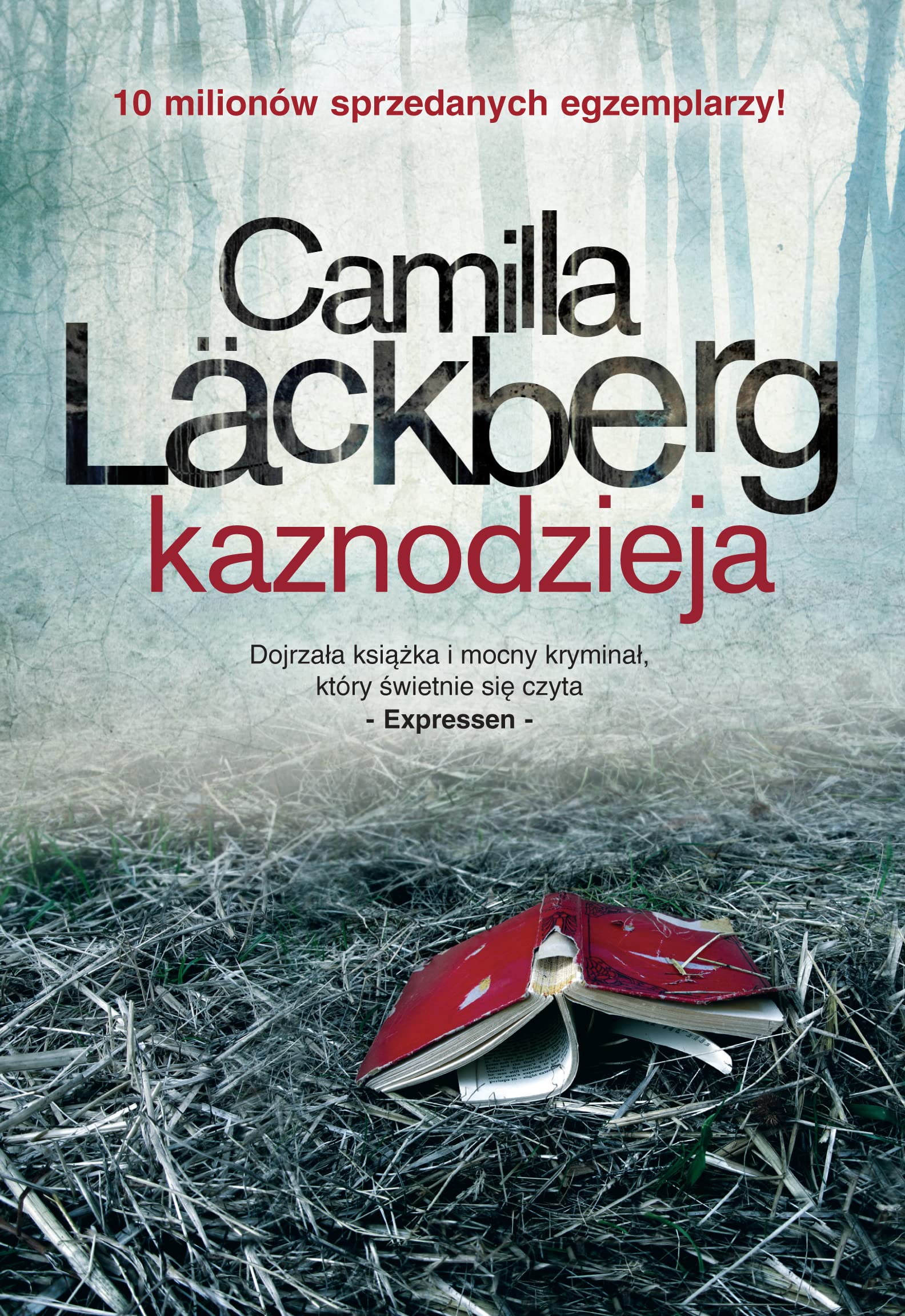 Kaznodzieja (CZARNA SERIA) Books